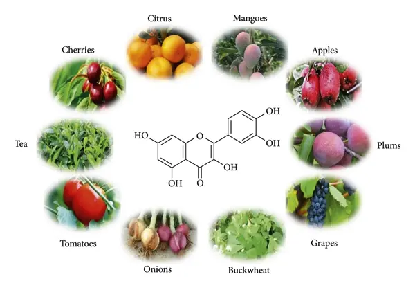 Quercetin Powder Quercetin Powder
