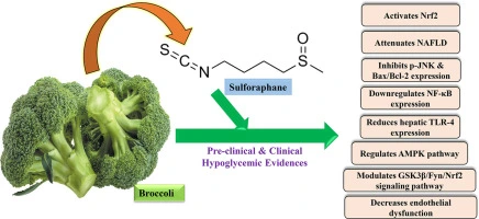 Broccoli's Power Broccoli's Power