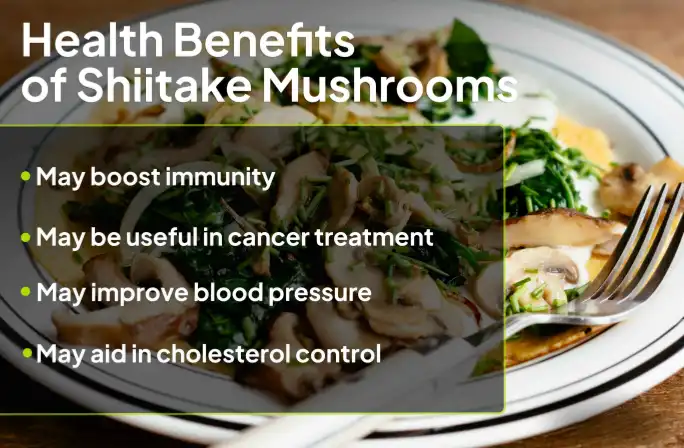 Benefits of Shiitake Mushroom Extract Benefits of Shiitake Mushroom Extract