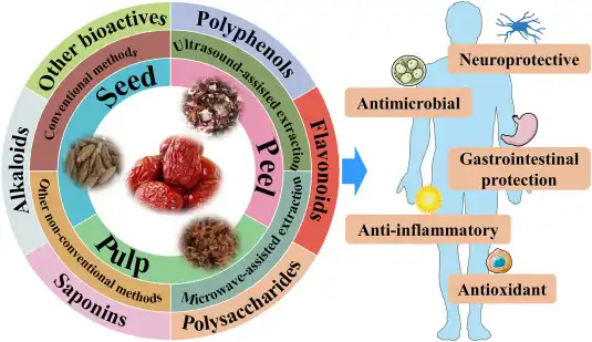 jujube-seed-powder jujube-seed-powder