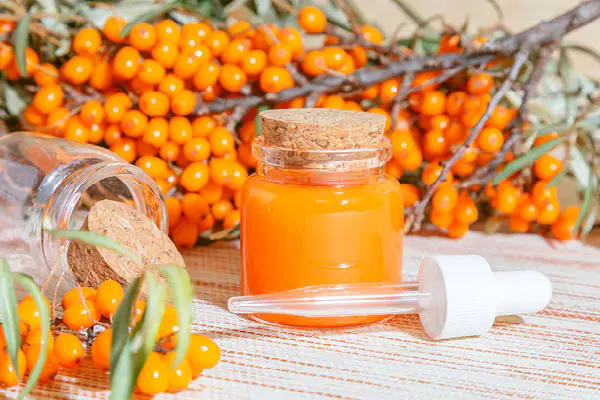 Sea-buckthorn-benefits-for skin-hair-and-health Sea-buckthorn-benefits-for skin-hair-and-health