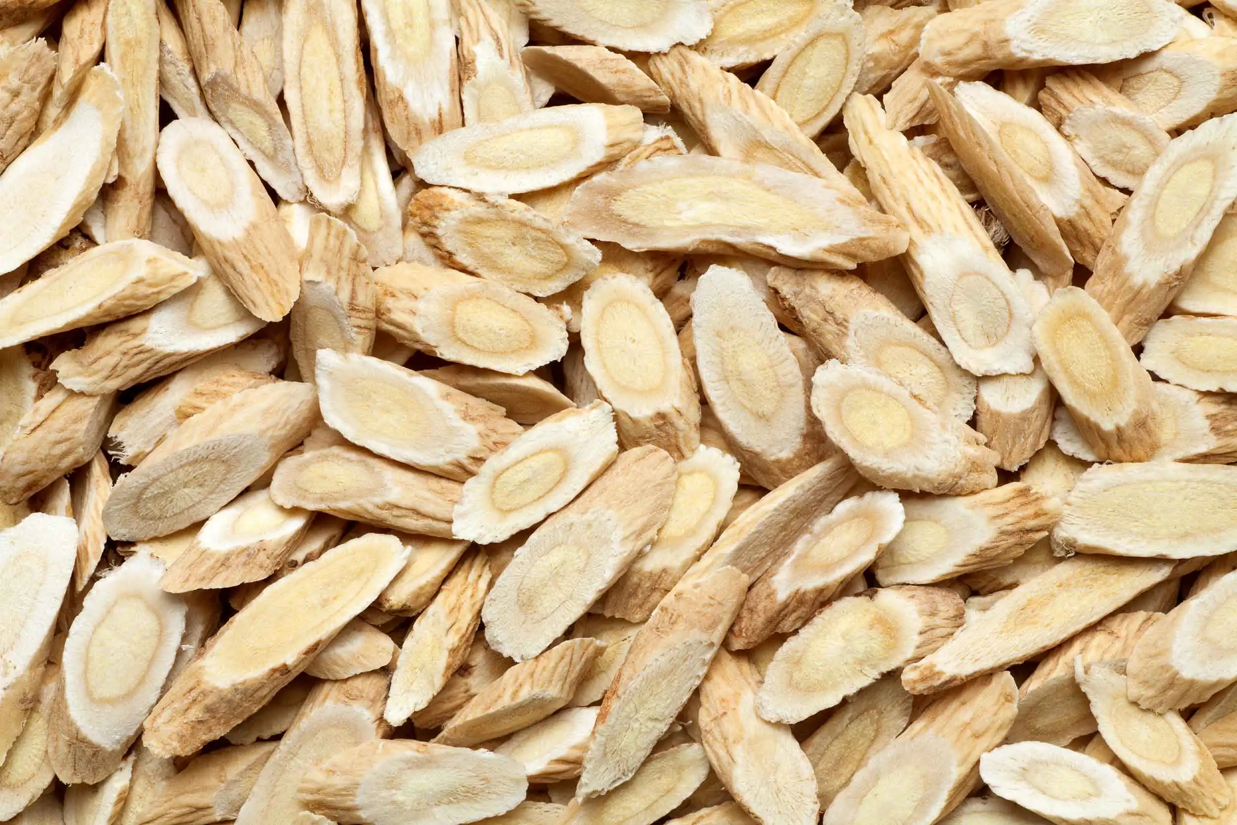 Astragalus-Membranaceus-Root-Extract