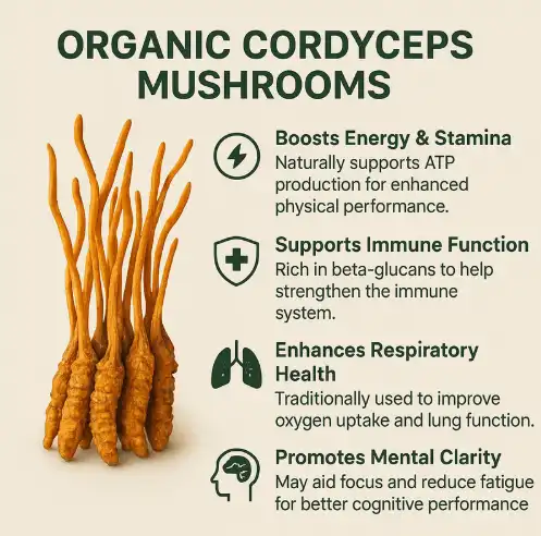 organic-cordyceps-mushrooms