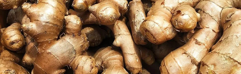 Organic ginger Organic ginger