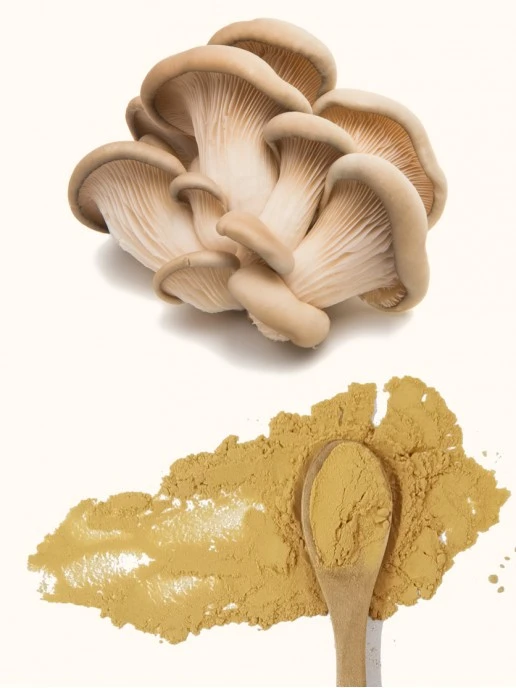 oyster-mushroom-extract oyster-mushroom-extract