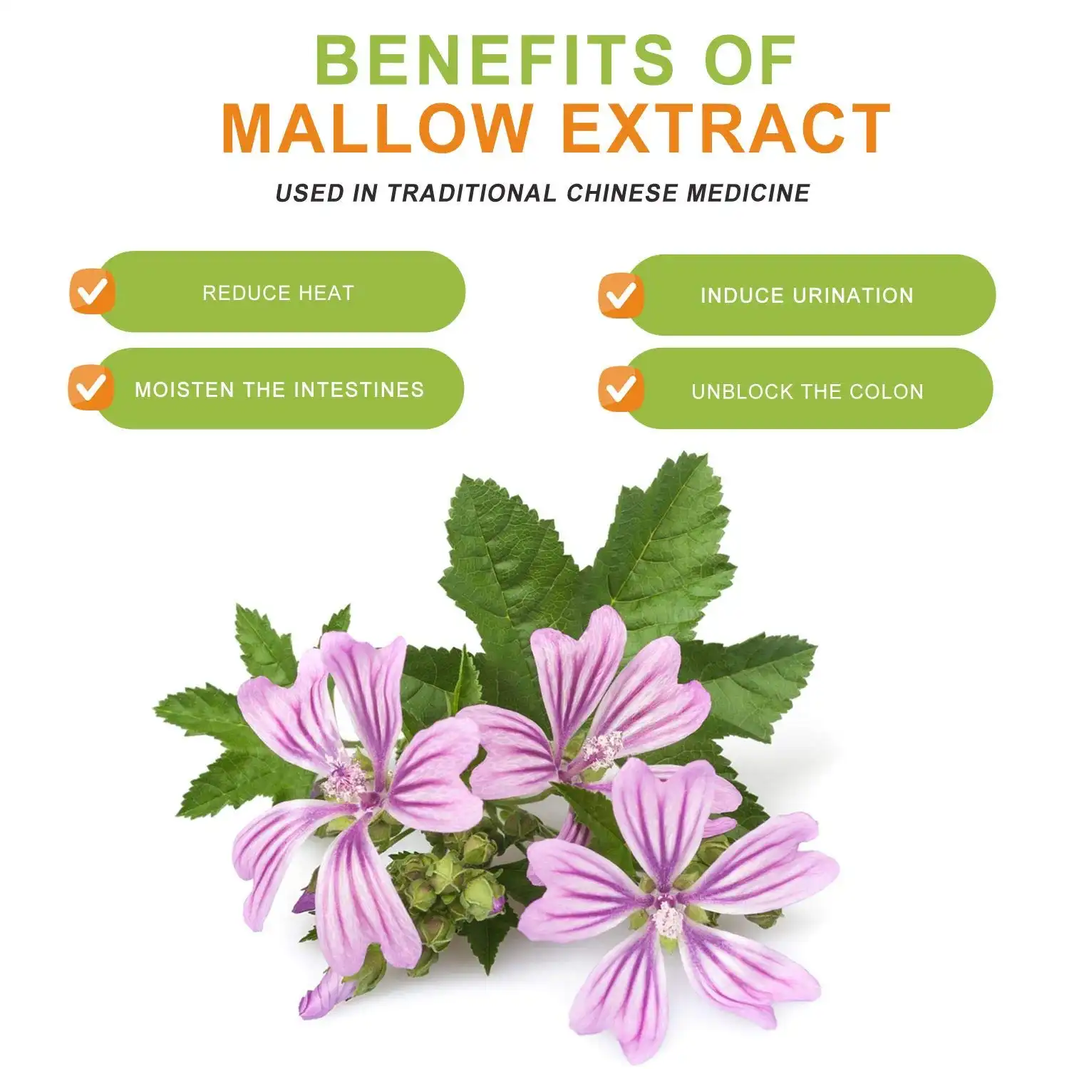 Benefits of Marshmallow Extract