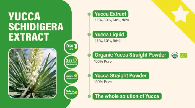 yucca