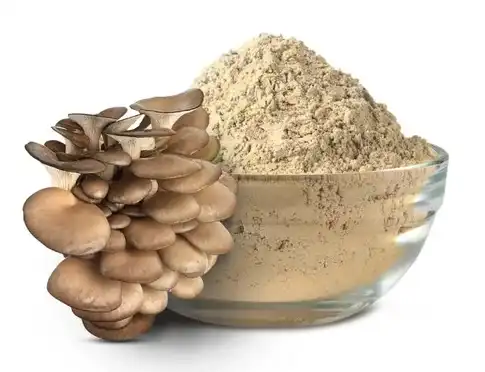 oyster mushroom powder oyster mushroom powder