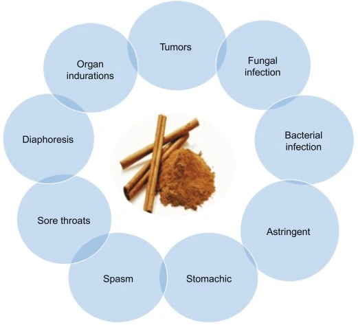 Cinnamon Bark Extract Powder Cinnamon Bark Extract Powder