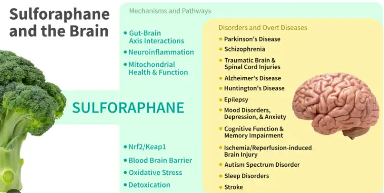 Sulforaphane Sulforaphane