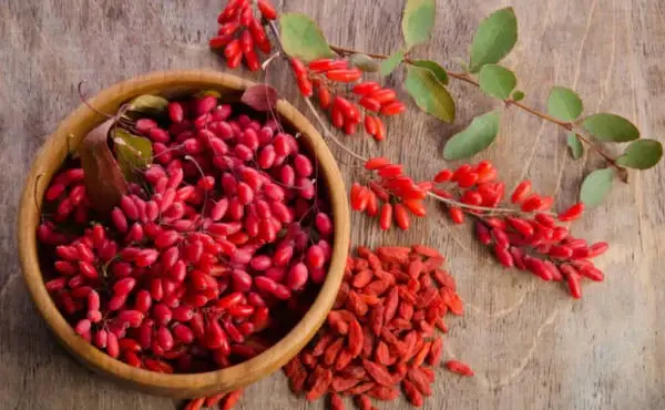 organic-goji-berry