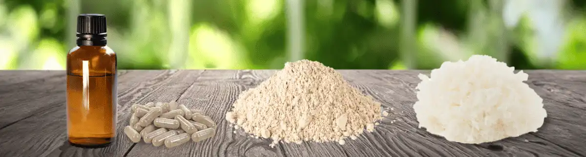 tremella_header tremella_header