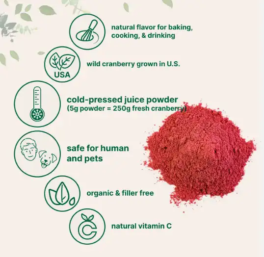 cranberry extract powder benefits