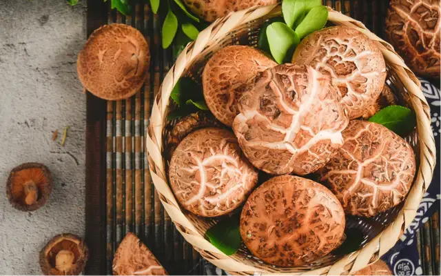 Organic shiitake powder