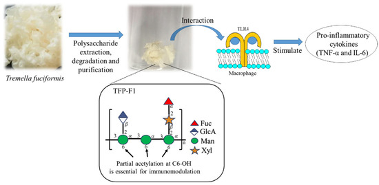 Neuroprotective Effects of Tremella Polysaccharides Neuroprotective Effects of Tremella Polysaccharides