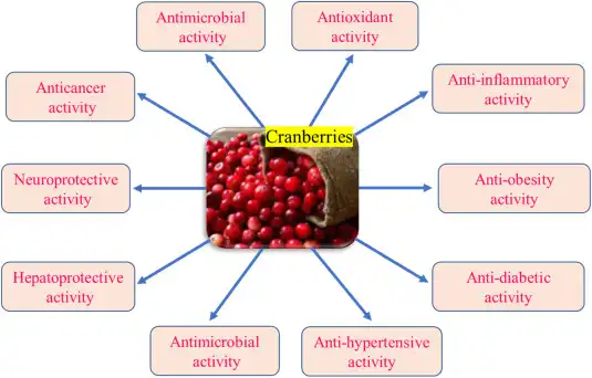 Cranberry Extract Cranberry Extract