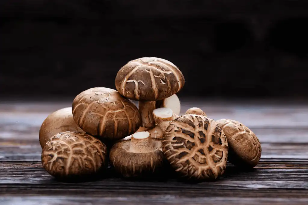 shiitake-mushrooms