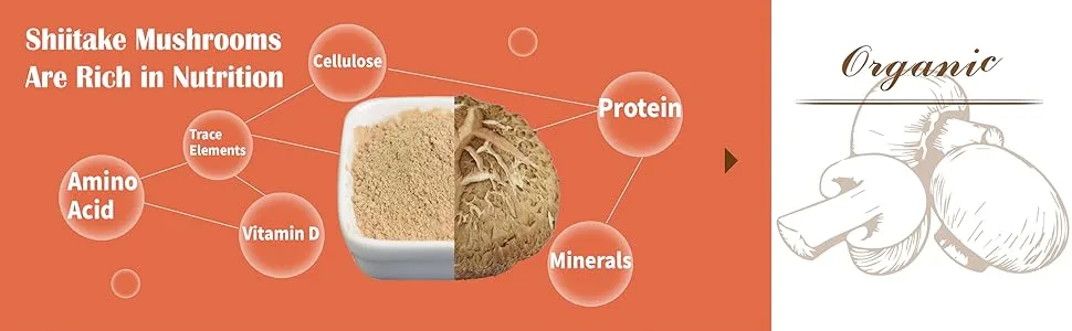 Organic Shiitake Mushroom Powder