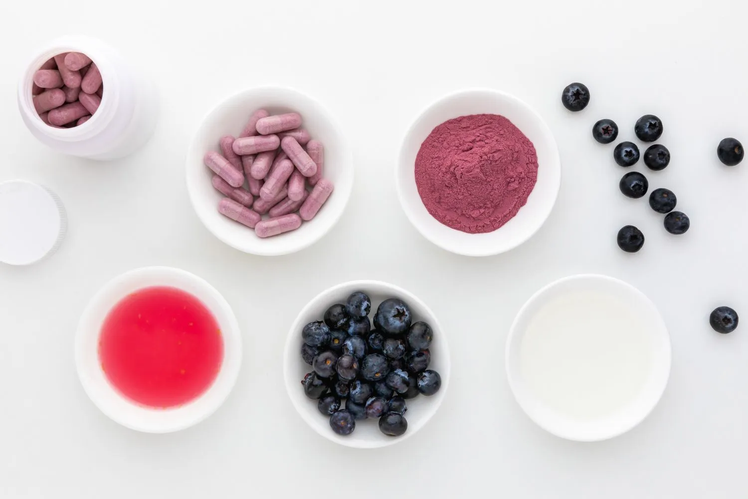 blueberry-extract-powder