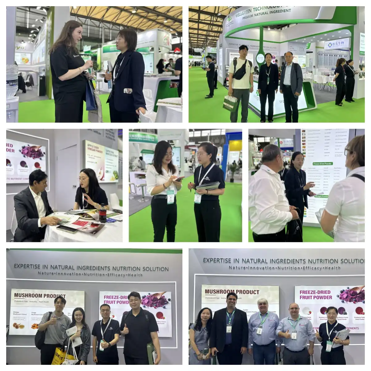 Hi & Fi Asia-China 2025 Hi & Fi Asia-China 2025