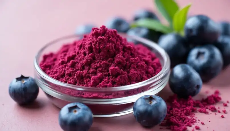 blueberry-extract-powder