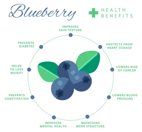 Health Benefits of Blueberry Extract in Food
