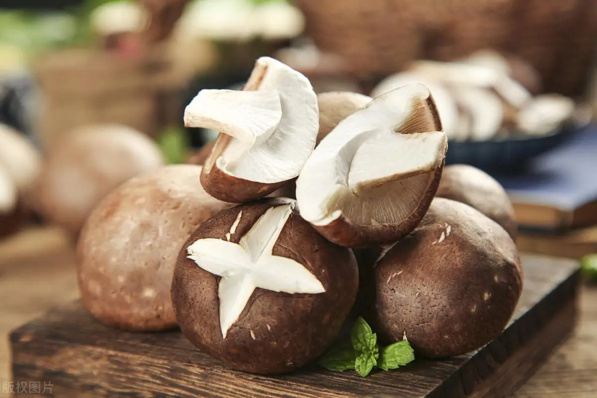 organic-shiitake-powder