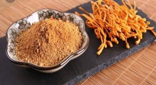 cordyceps mushroom powder wellgreen cordyceps mushroom powder wellgreen
