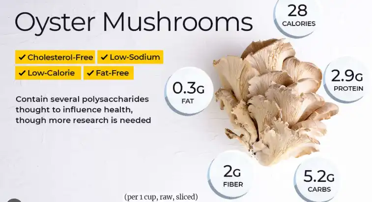 oyster mushroom powder