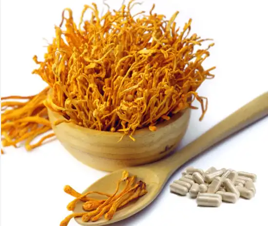 organic-cordyceps-mushroom-powder