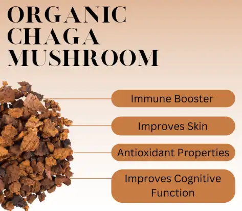 blog-473-412 blog-473-412