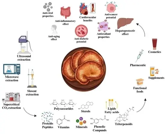organic reishi mushroom powder benefits organic reishi mushroom powder benefits