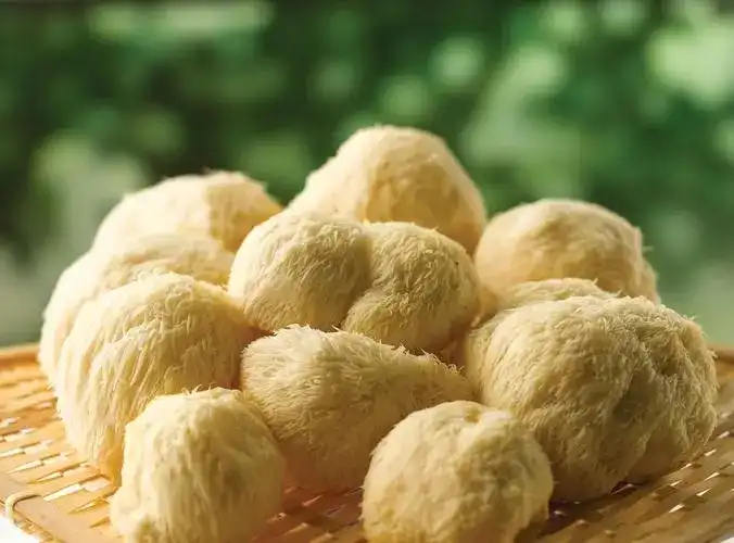lion-s-mane-mushroom-extract-powder