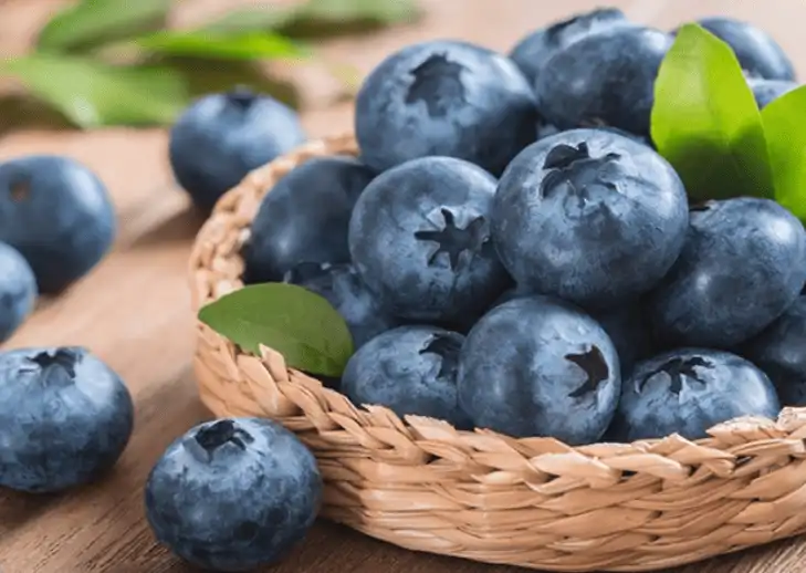 blueberry-extract-powder