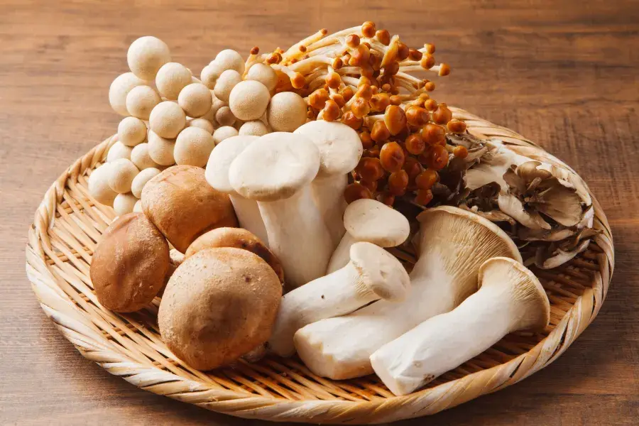 king-trumpet-mushroom-powder