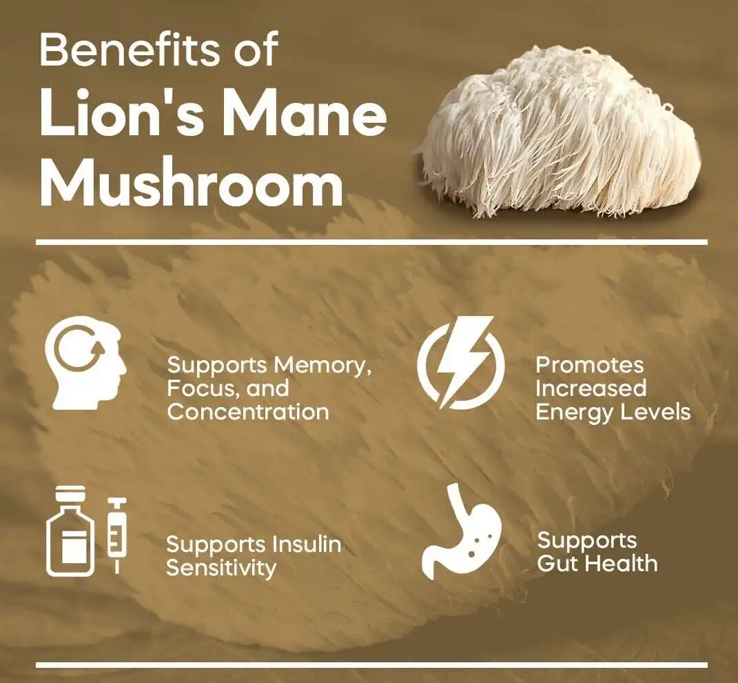 Benefits of Lion's Mane Extract Benefits of Lion's Mane Extract
