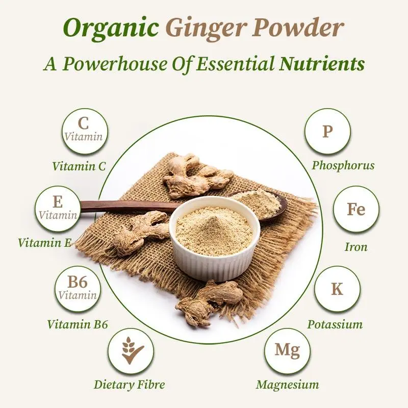 What's in Organic Ginger Powder What's in Organic Ginger Powder