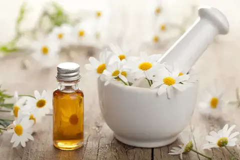 chamomile extract powder chamomile extract powder