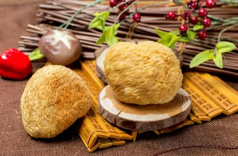 Lions mane mushroom extract powder
