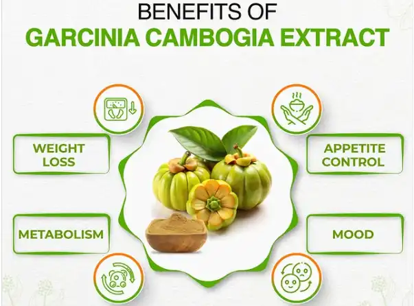 Garcinia cambogia extract Garcinia cambogia extract