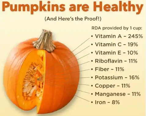 Essential Vitamins and Minerals in Pumpkin Powder
