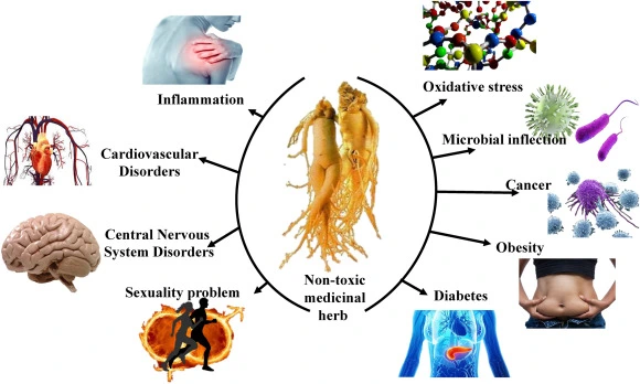 Pharmacological potential of ginseng and its major component ginsenosides