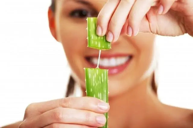 Aloe vera gel freeze dried powder