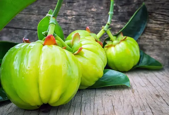 Garcinia cambogia extract Garcinia cambogia extract