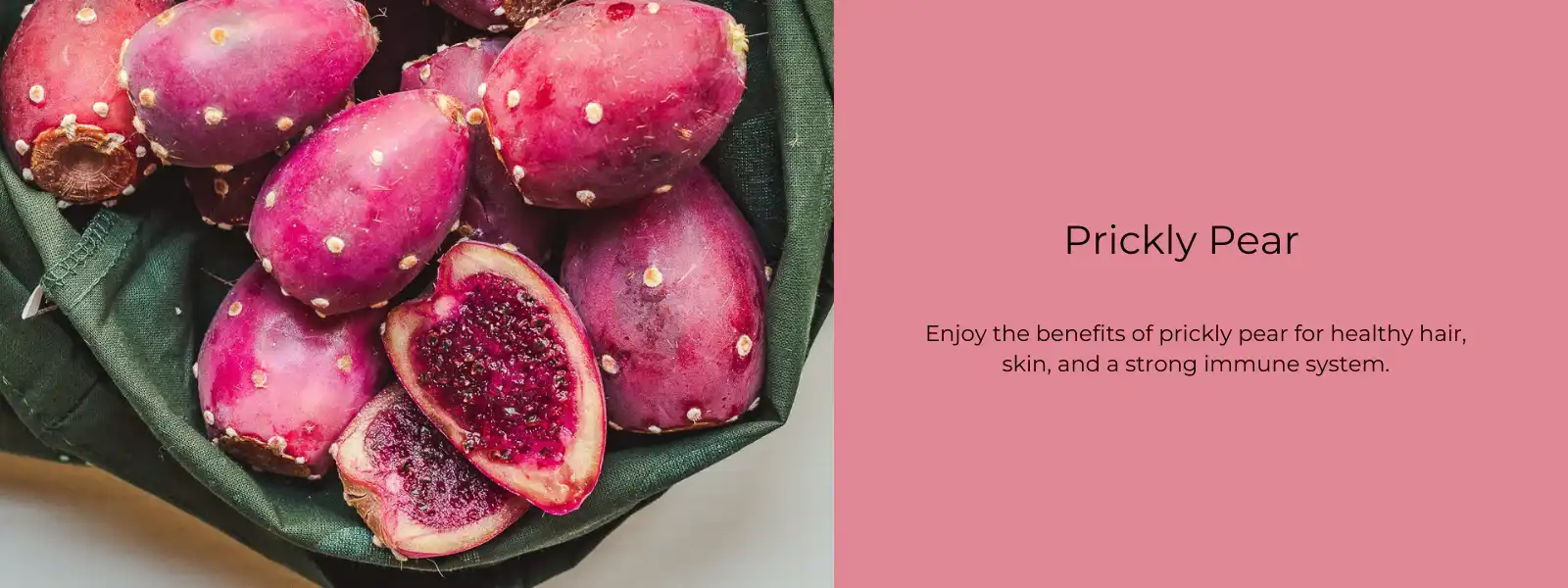 Prickly Pear Extract benefits Prickly Pear Extract benefits