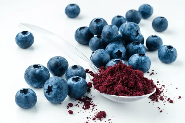 blueberry-extract-powder