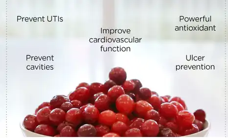 cranberry-extract-powder-benefits