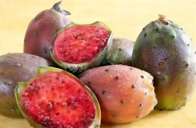 prickly-pear-cactus-extract