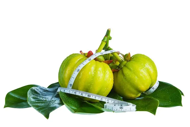 Garcinia cambogia extract