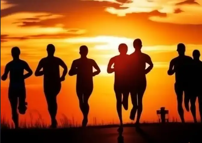 MCT Oil Powder in Sports Nutrition Compared to Other Fats